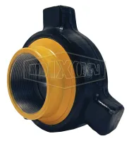 hammer union_100 series