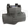 Check Valve